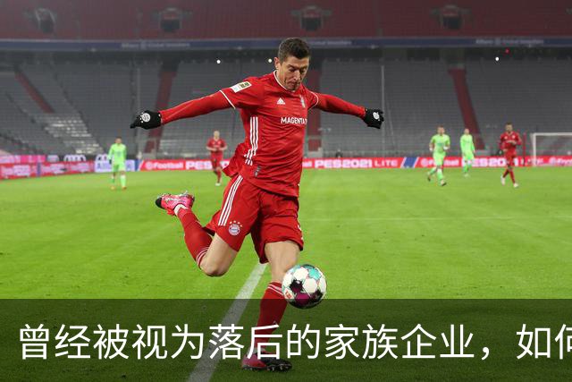曾经被视为落后的家族企业，如何成为中国民营经济的试金石？｜首届传承大会