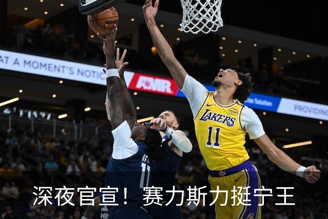 深夜官宣！赛力斯力挺"宁王"