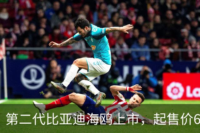 第二代比亚迪海鸥上市，起售价6.29万起！正面硬刚吉利星愿？