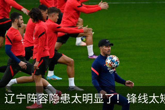 辽宁阵容隐患太明显了！锋线太矮，内线太弱，进八强就完成目标！