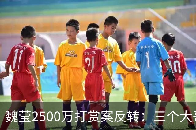 魏莹2500万打赏案反转：三个大哥全已婚，没人是白莲花
